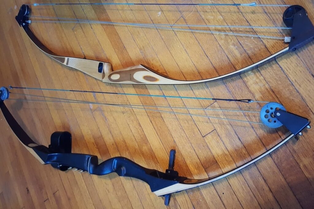 single vs dual cam compound bows