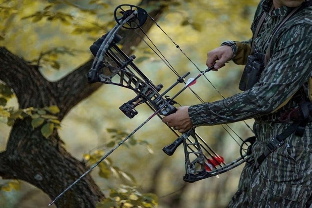 types of compound bows